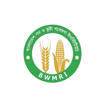 Bangladesh Wheat and Maize Research Institute Bangladesh Wheat and Maize Research Institute